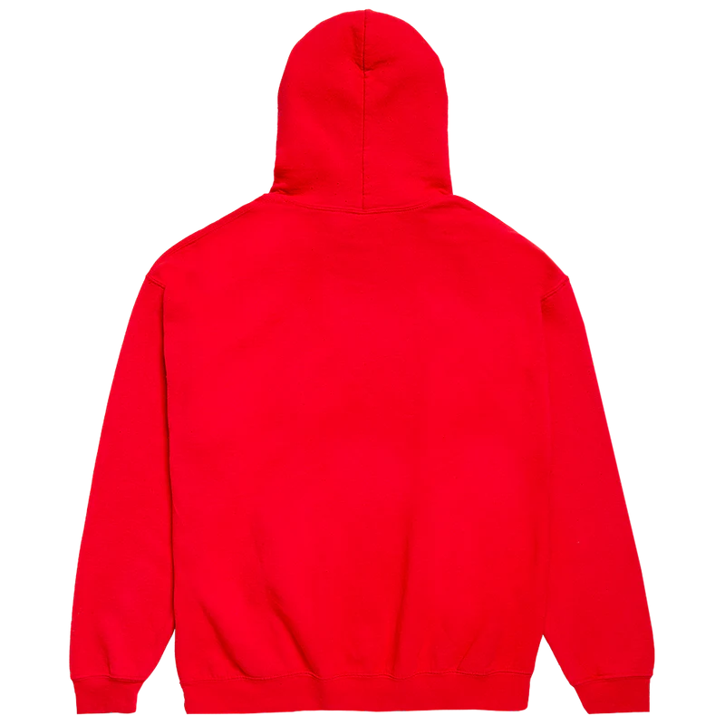 Troye Sivan - Troyebaby Hoodie