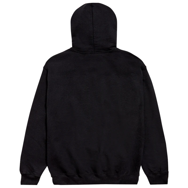 Troye sivan hoodie hot sale