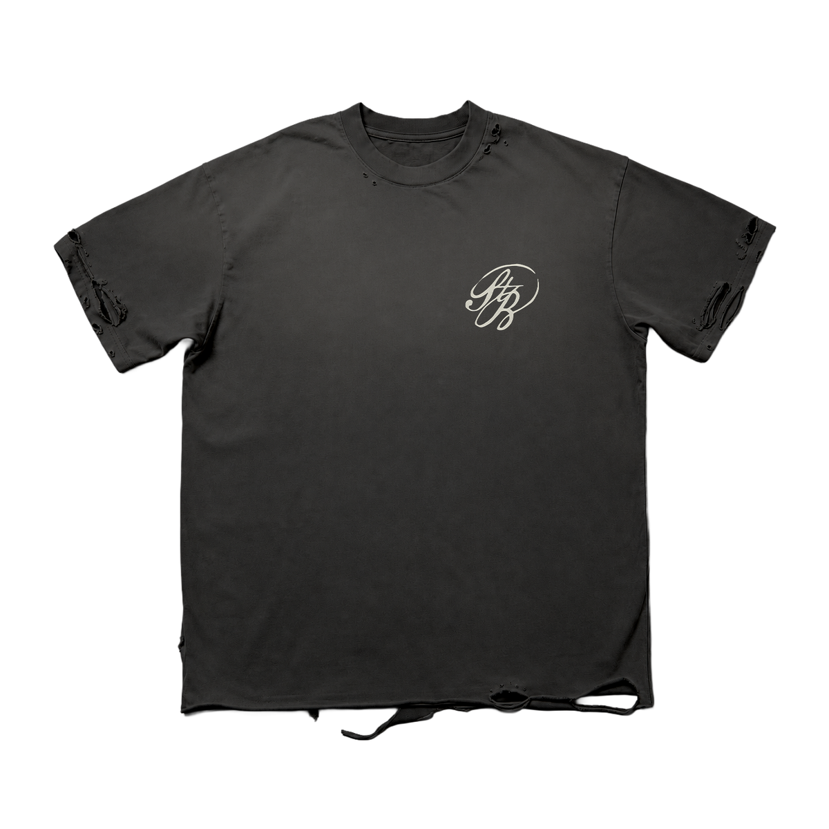 Troye Sivan - She’s the Best Distressed Black Tee